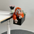 Box Black - Eliot Onlineshop