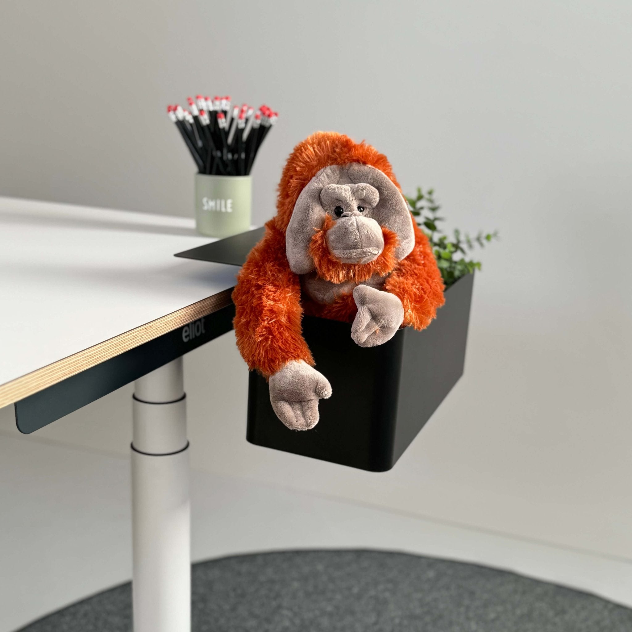 Box Black - Eliot Onlineshop