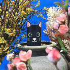 Cover Katze Salem - Eliot Onlineshop