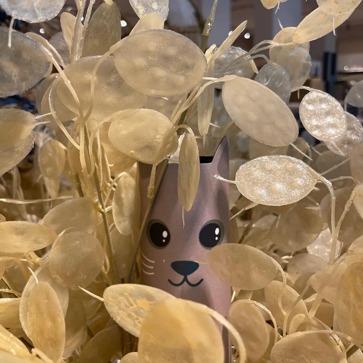 Cover Maus Finley - Eliot Onlineshop