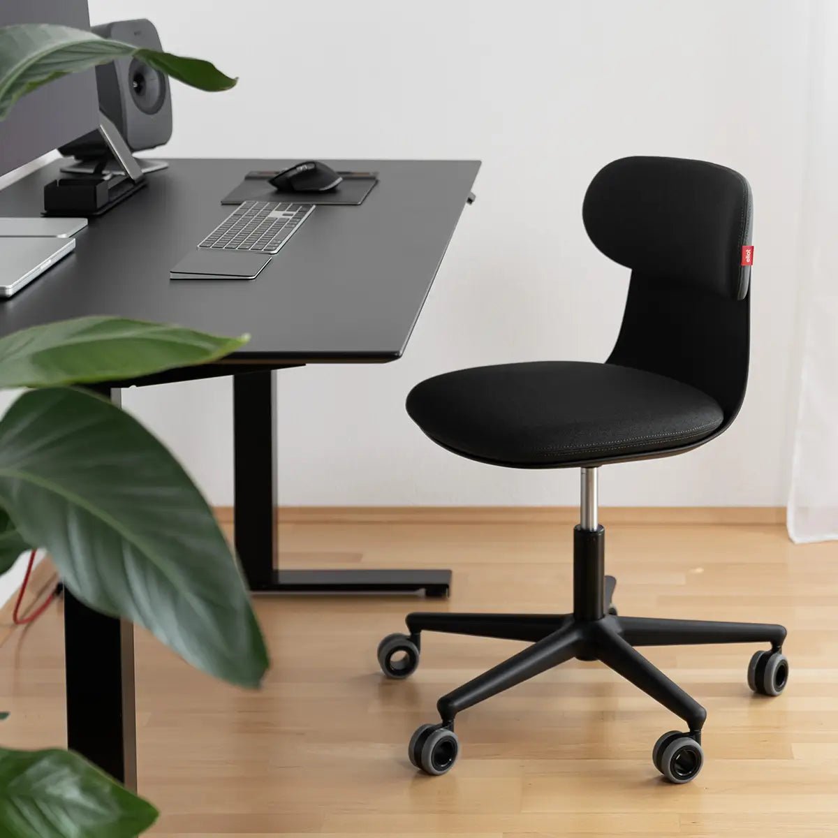 Kozy Black - Eliot Onlineshop