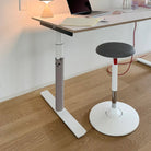 Lio Plus White - Eliot Onlineshop